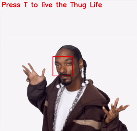 thug-life-gif
