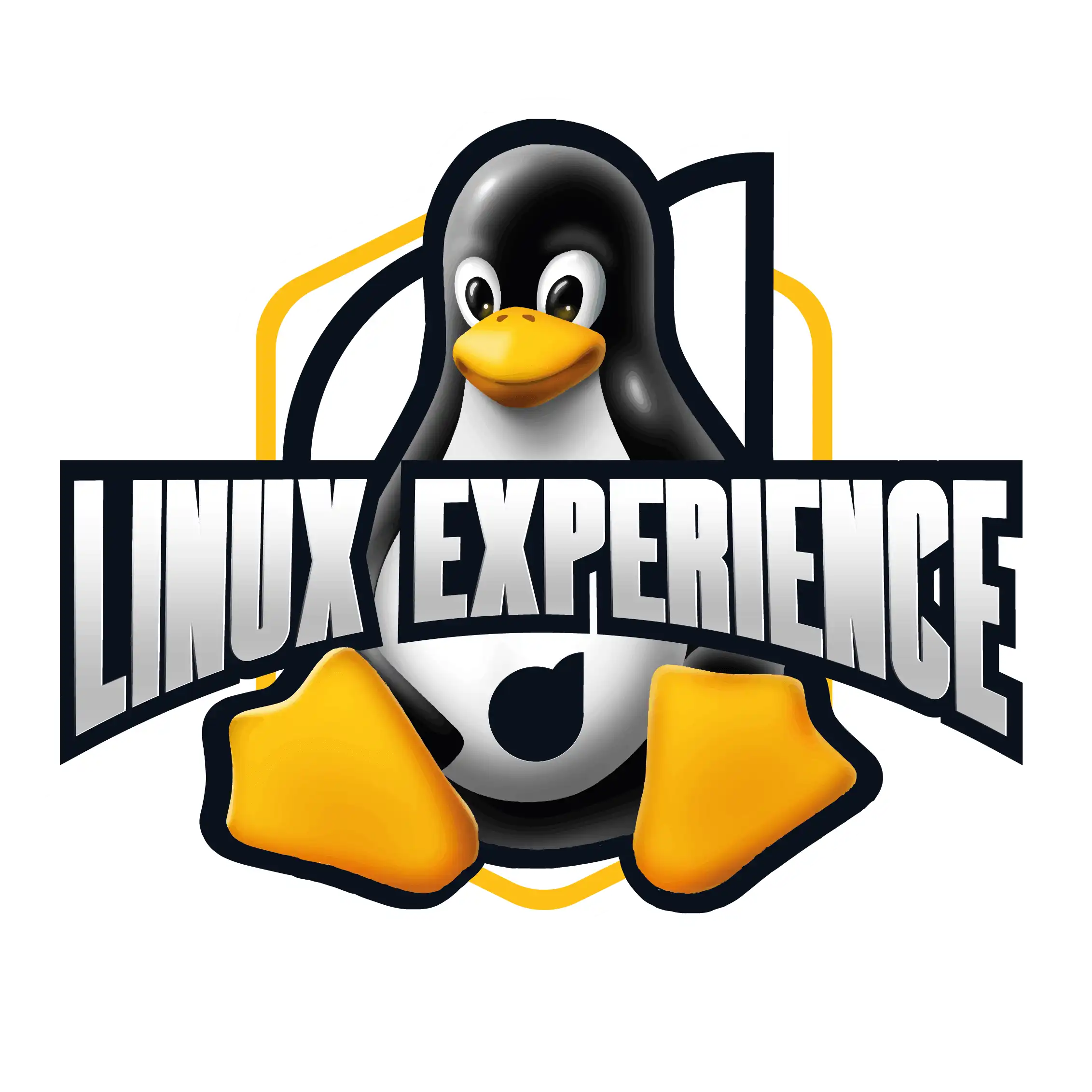 Linux Experience