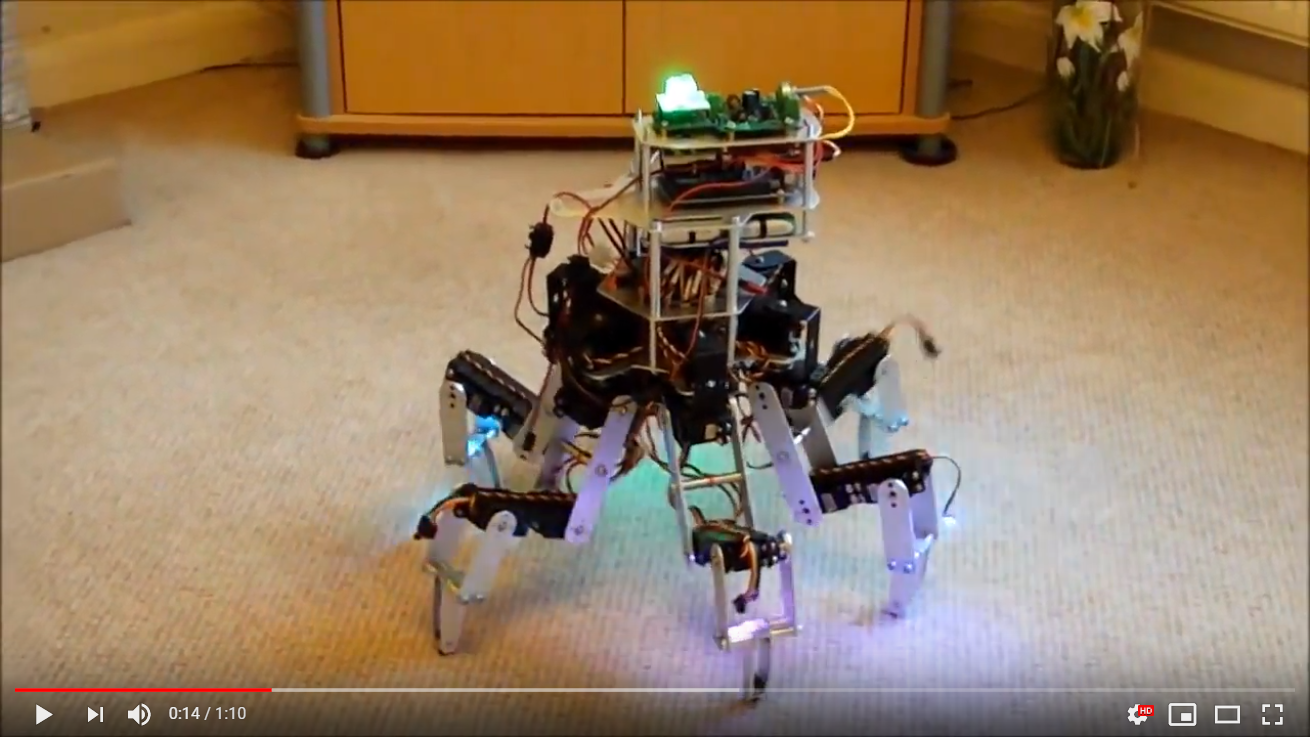 Video of a real hexapod walking