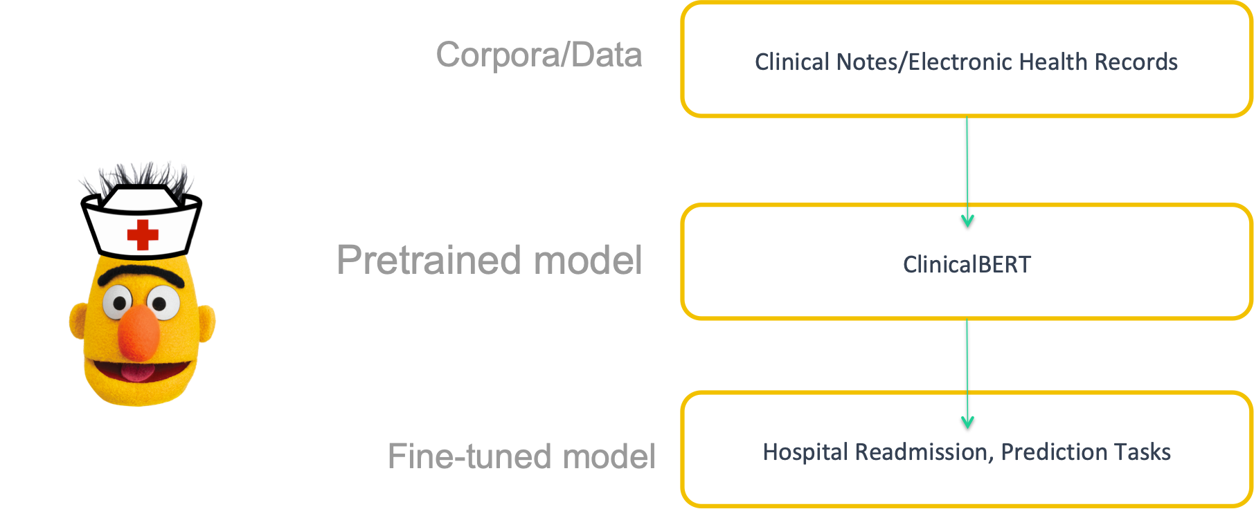 ClinicalBERT is pretrained on patient clinical notes/EHR and then can be used for downstream predictive tasks.