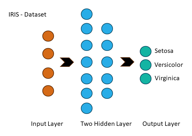 Neural Network