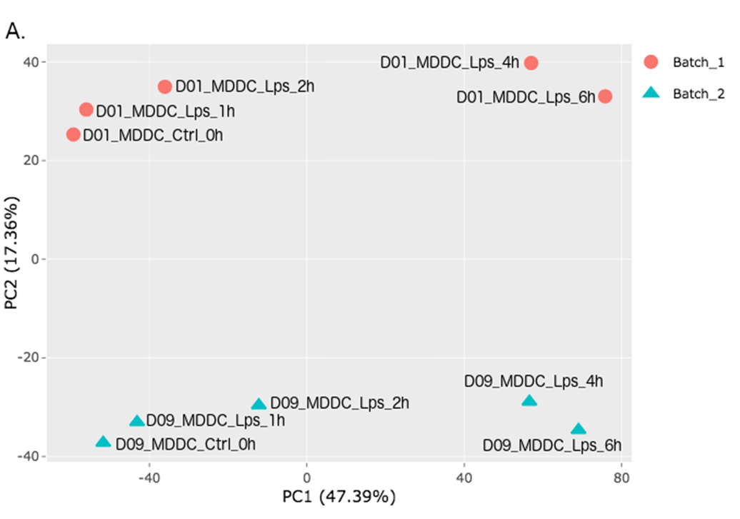 Figure 32. example pca before batch