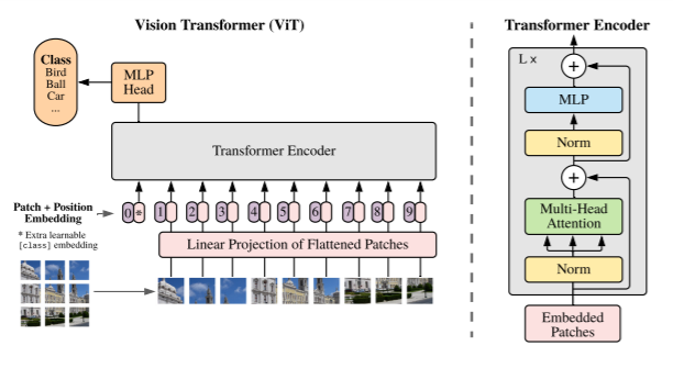 ViT architecture