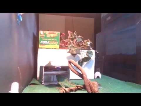 onebeartoe Lizard Enclosure - Episode III - Remote Controlled Feeder