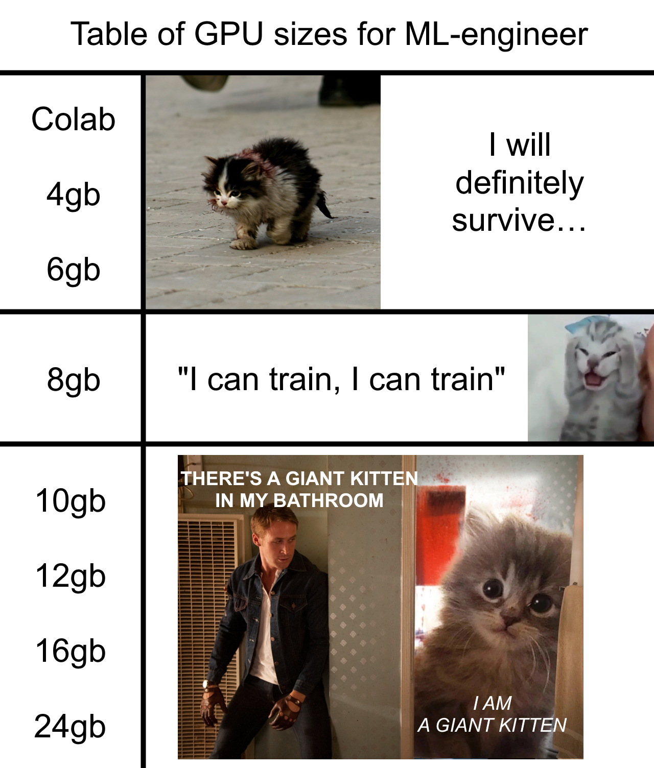 giant-kitten-meme