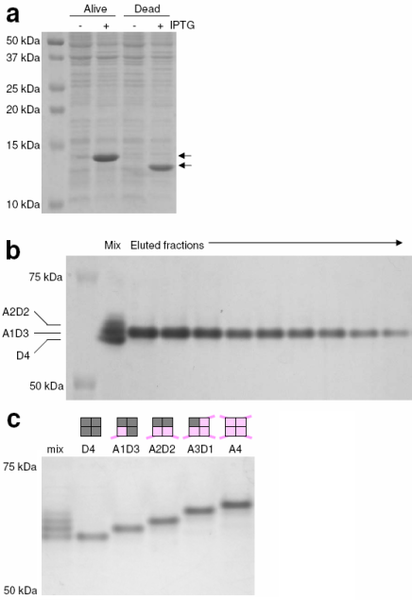 Fig 1