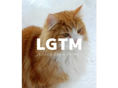 LGTM