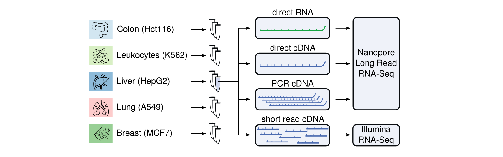 The Singapore Nanopore-Expression Project - Design!