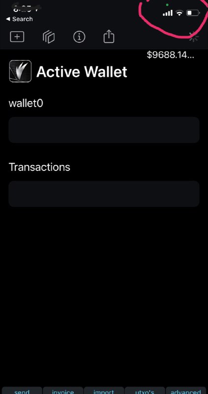 camera-active-wallet