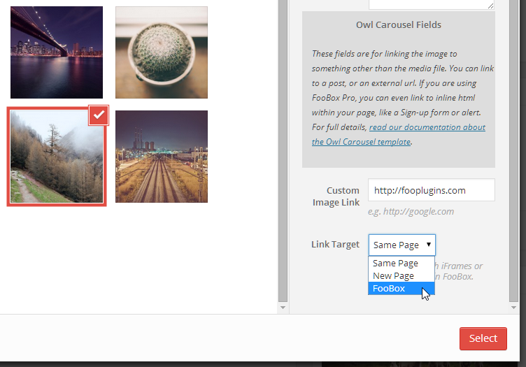 Choose a custom link and target to launch from each image in your Carousel. Combined with FooBox Pro you can launch videos, forms, a Google Map, and more from each individual image in your Carousel.