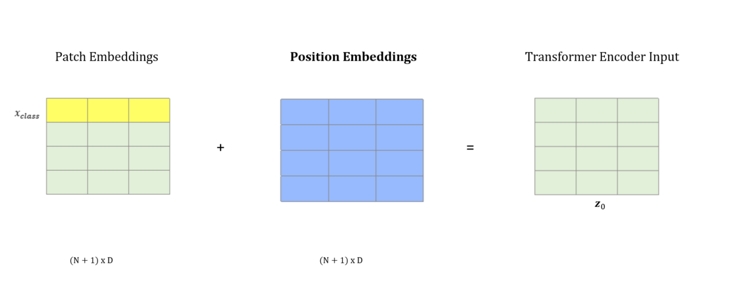 Position embeddings are learnable parameters