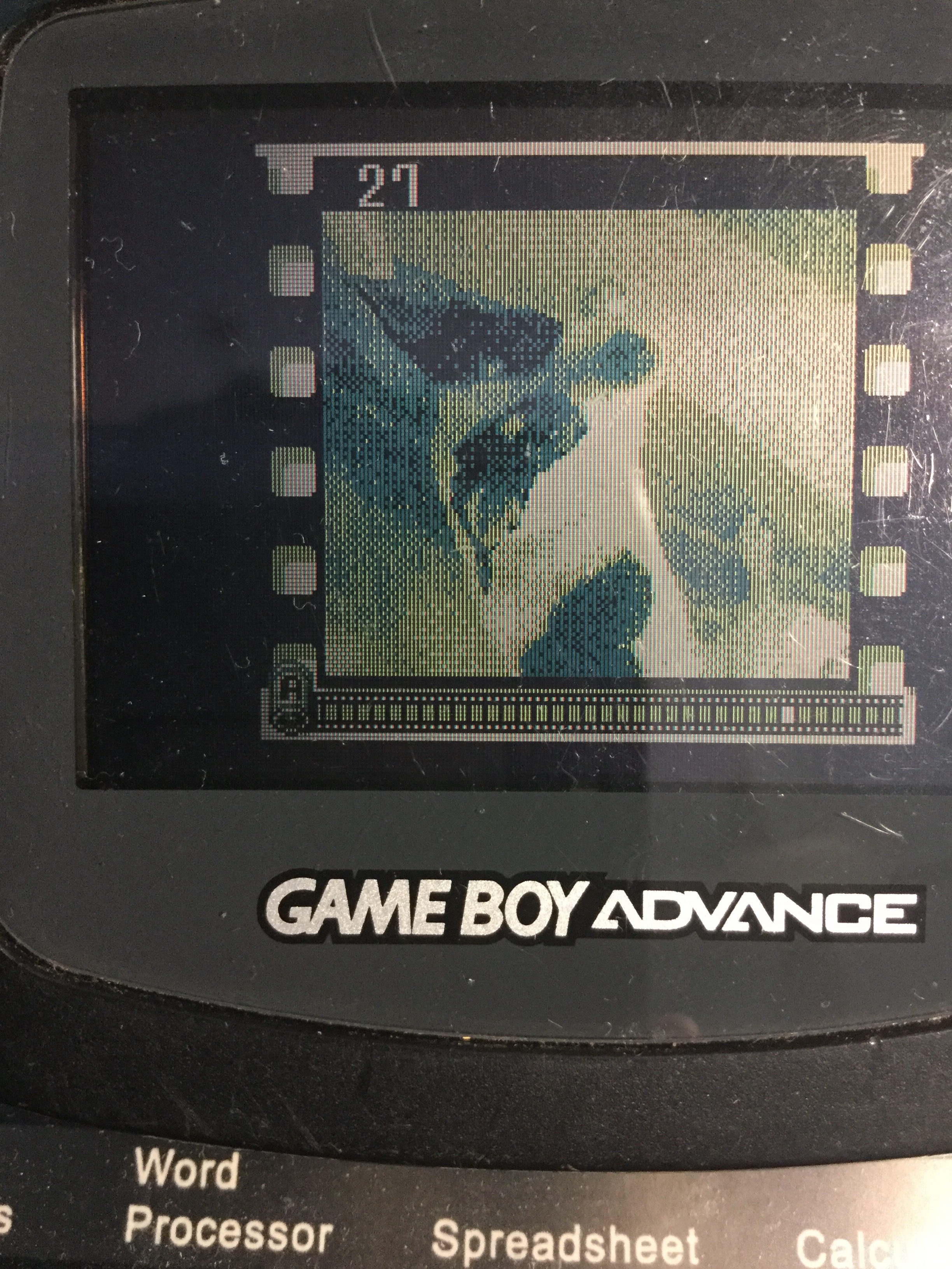 A photograph of a Game Boy Advance displaying a photograph taken by a Game Boy Camera.