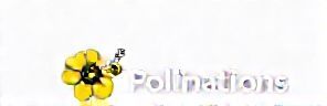 Pollinations.AI Logo