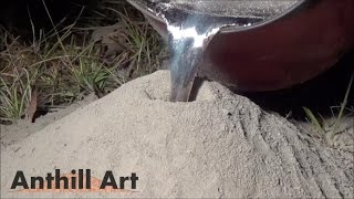 Casting a Fire Ant Colony with Molten Aluminum  Cast #043 