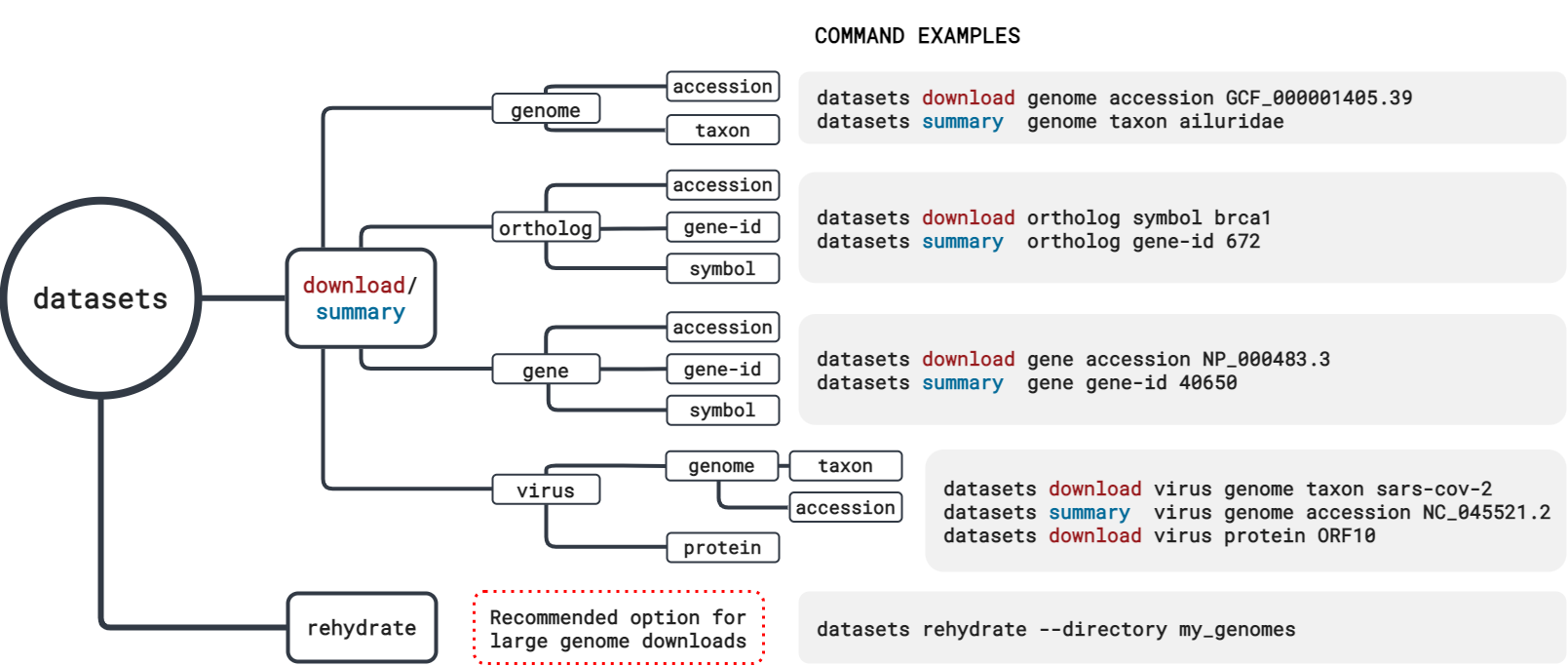 Datasets CLI schematic