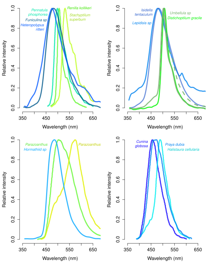 cnidarian_spectra_v2.png