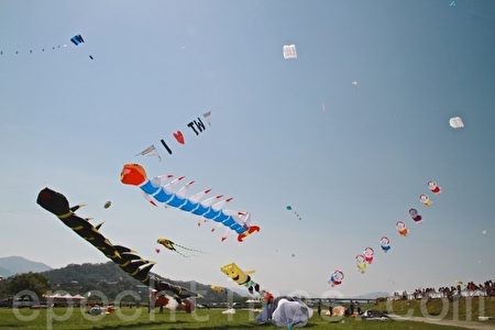 缤纷灿烂的各式风筝在天空飞扬。（许享富／大纪元）