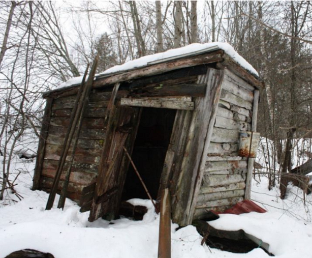 Shed image