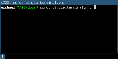 new terminal