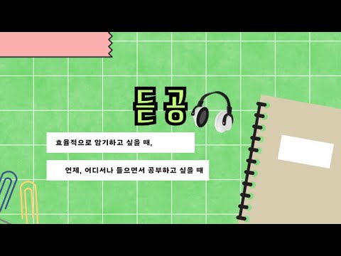 시연 영상