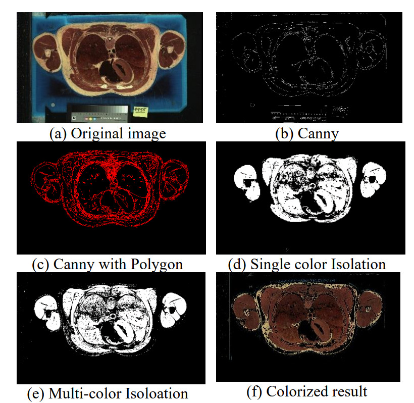 MedSim3D image processing