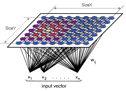 Network