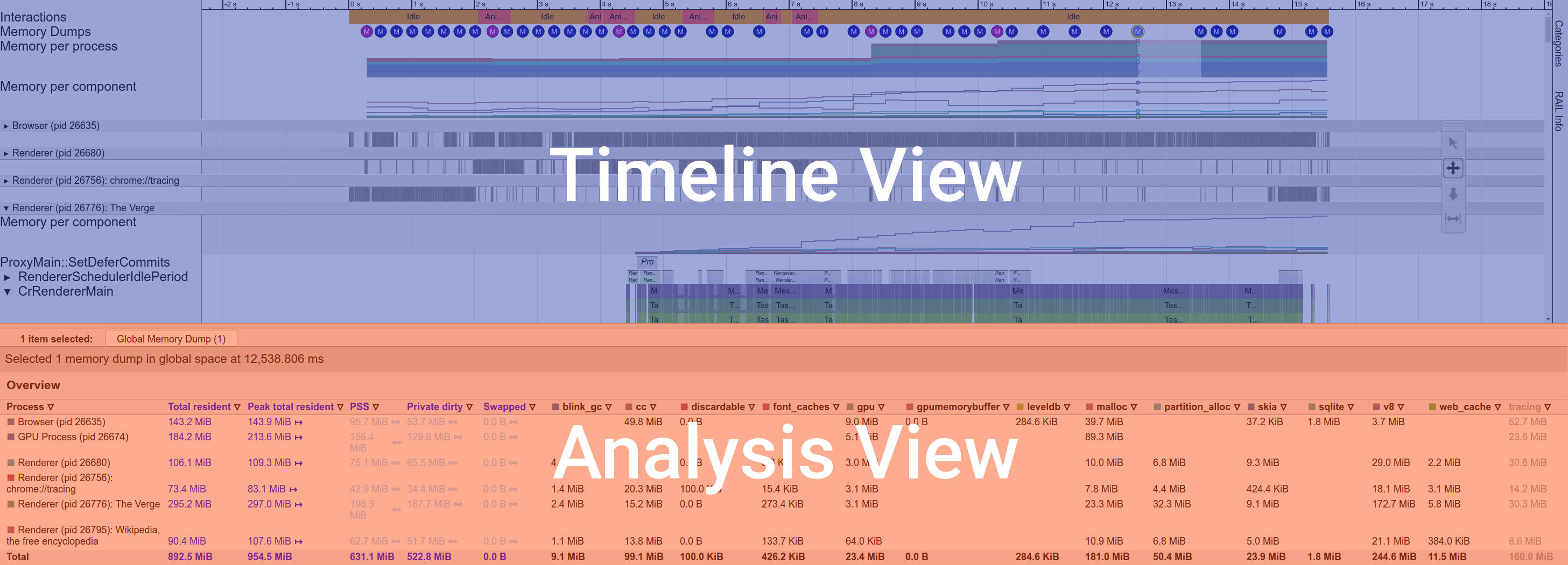 Timeline View and Analysis View
