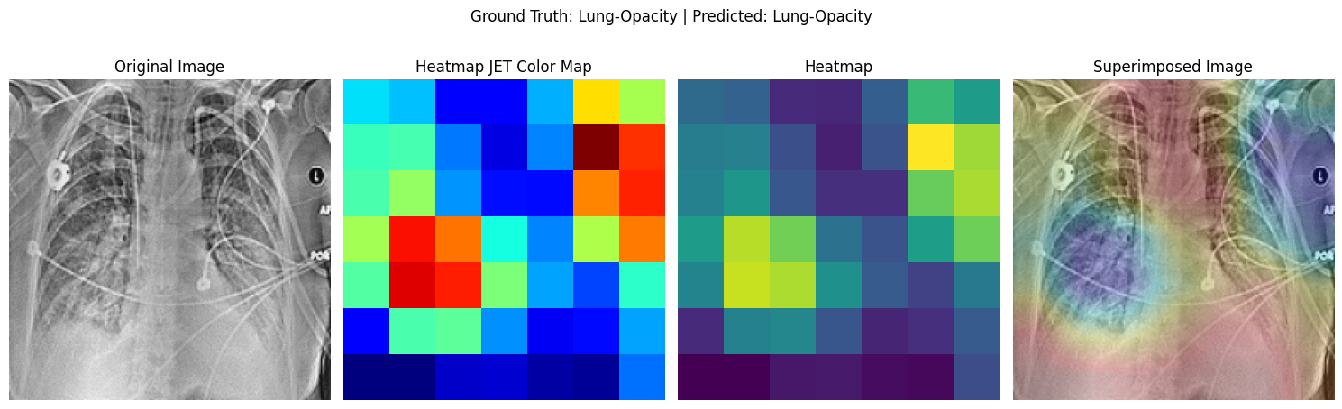 Activation Map Visualisation