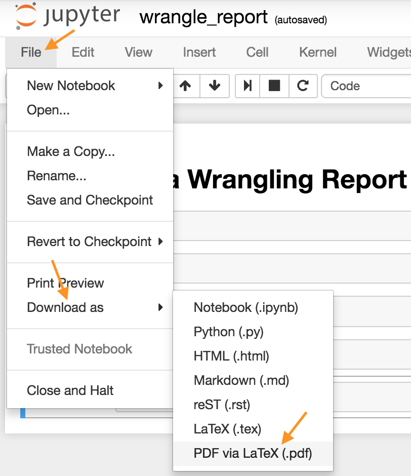Download Jupyter Notebook in PDF form