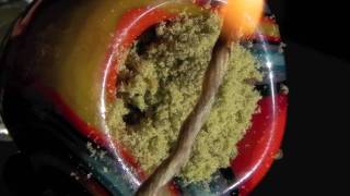 kief macro hit