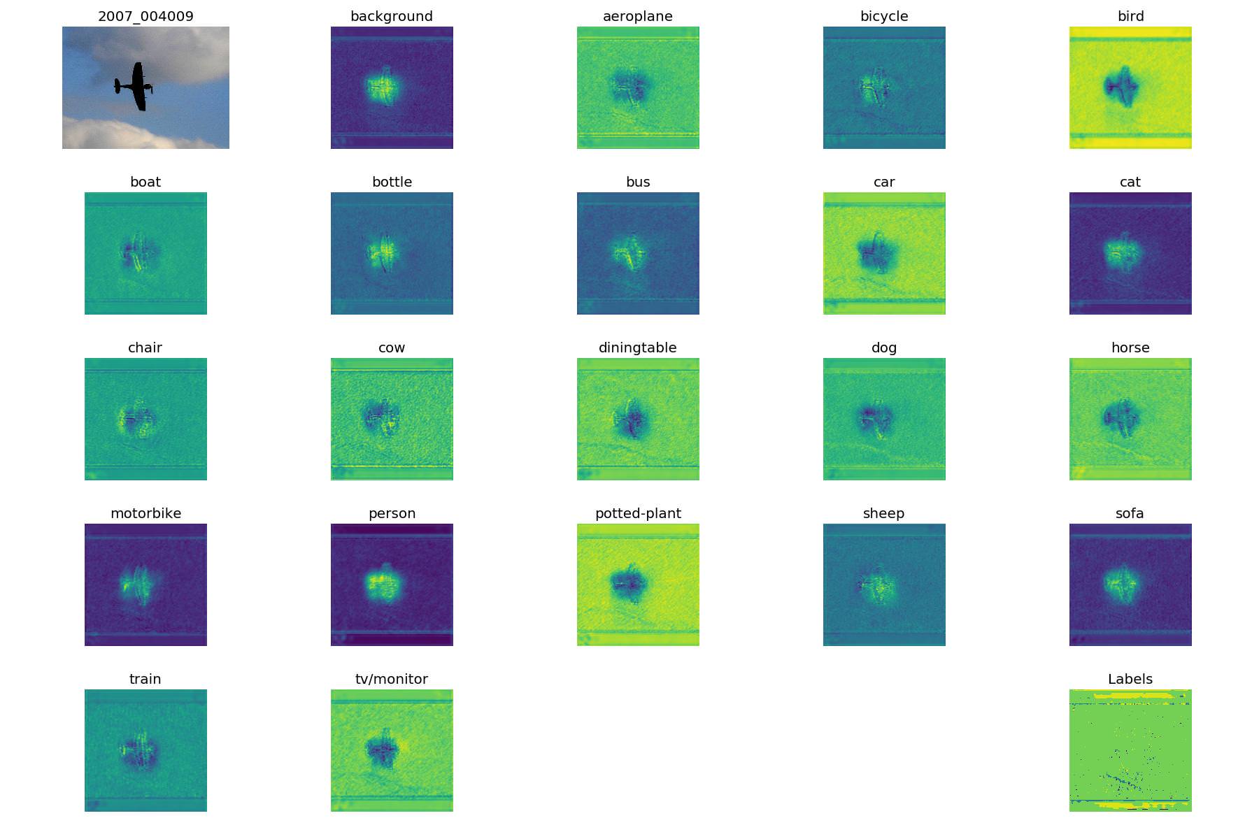 Feature maps during training