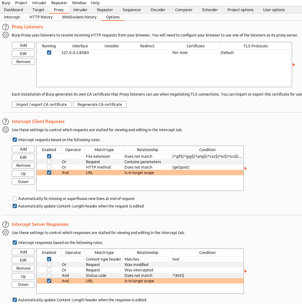 burpsuite.png