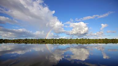 Río Negro, Amazon basin, Brazil (© Timothy Allen/Getty Images)