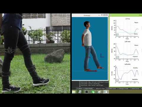 Silvereye: IMU motion capture for gait analysis, demo