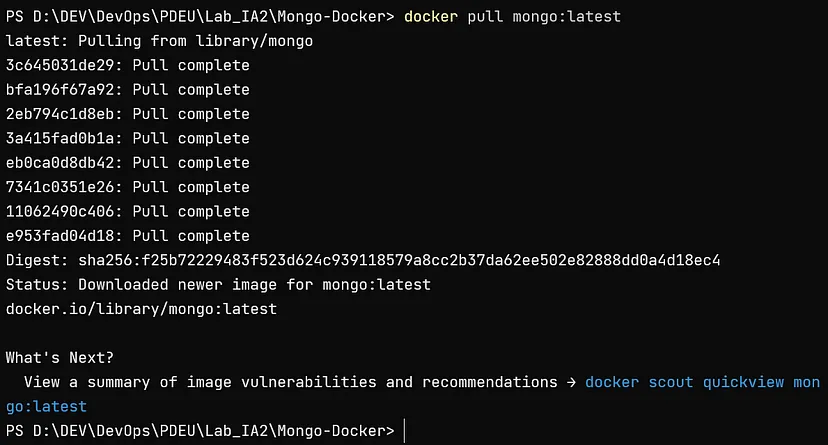 Docker pull output