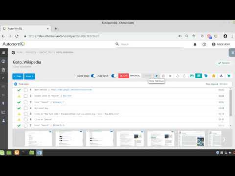 How to Execute Test Case?