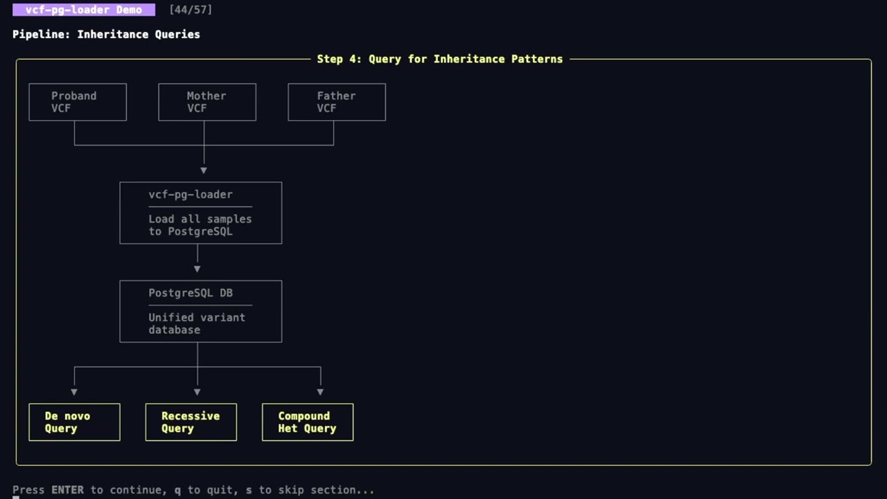 vcf-pg-loader Demo