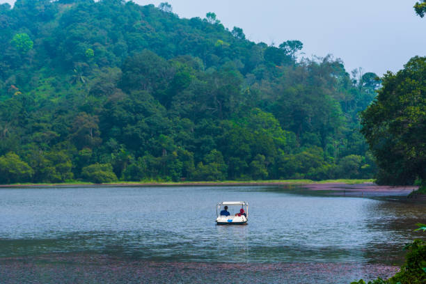 <Wayanad>