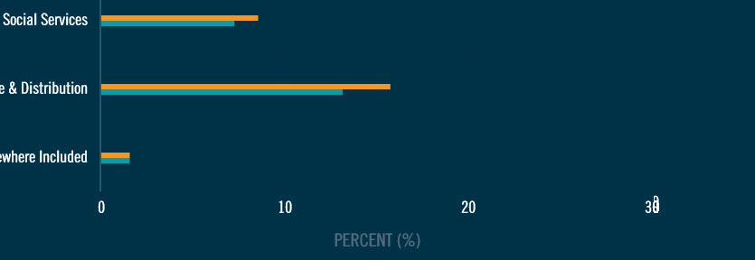 graph-x-axis-bug