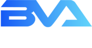 Bavaan.com logo