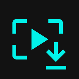 TikTok Story Viewer & Downloader