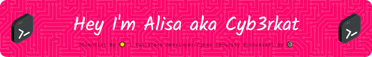 Alisa Khodadadi | Cyb3rKat Banner