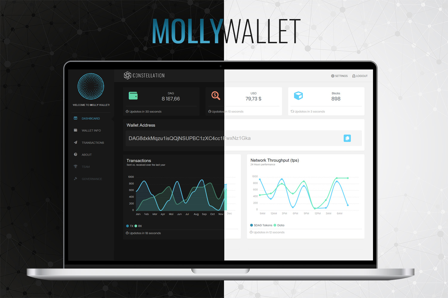 GitHub - grvlle/constellation_wallet: The desktop wallet of Constellation  Network aka. Molly Wallet.