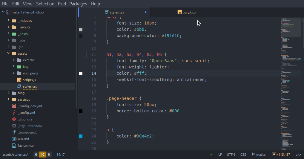 Atom Editor