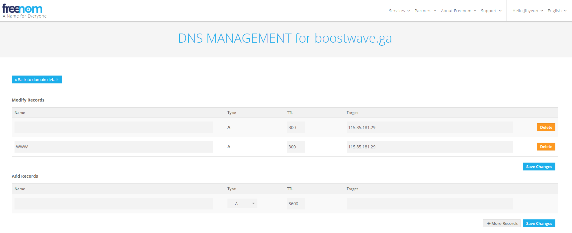 freenom DNS management