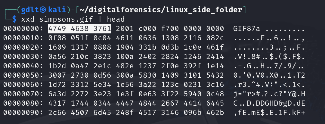 GitHub - GiancarloDLT/Exploring-the-Bytes-A-Journey-into-File ...