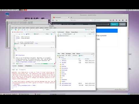 Sample video showing an earlier rendition of R in a secure environment
