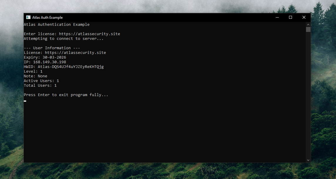 Example running — successful login