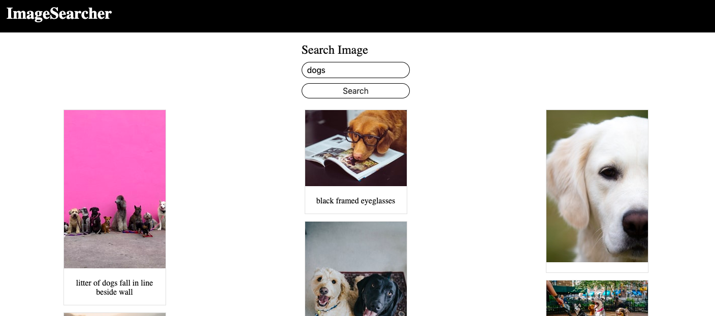 screenshot of search results for dogs