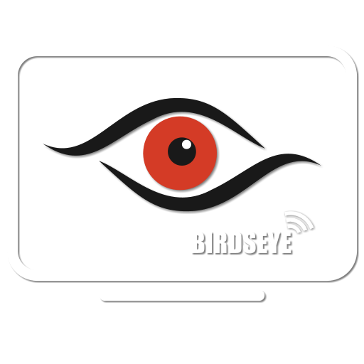 BirdseyeTV player